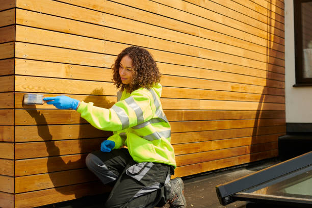 Best Vinyl Siding Installation  in Mount Clemens, MI